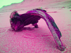 Holzbog.Pink